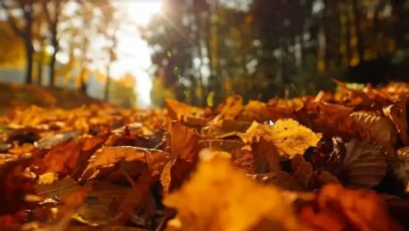 Чем опасно бабье лето, рассказала врач