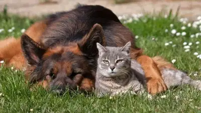 Zakon.kz, фото - Новости Zakon.kz от 15.07.2015 14:20