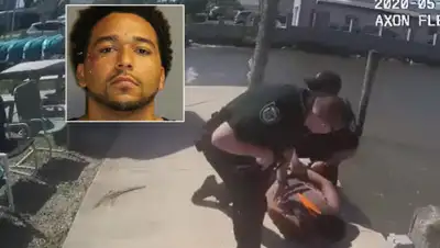 Palm Beach daily news, фото - Новости Zakon.kz от 02.06.2020 12:57