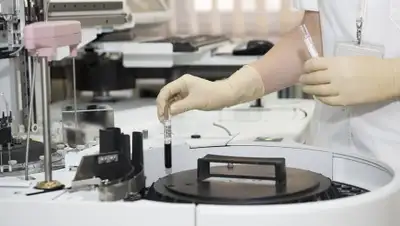 pixabay.com, фото - Новости Zakon.kz от 11.04.2019 11:21