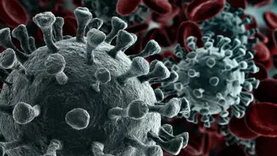 Pixabay, фото - Новости Zakon.kz от 23.03.2020 01:09