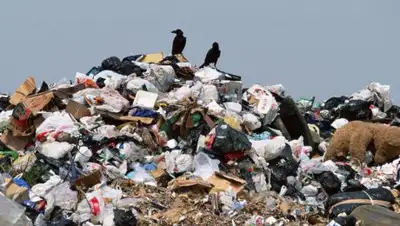 theopenasia.net, фото - Новости Zakon.kz от 22.07.2020 16:19