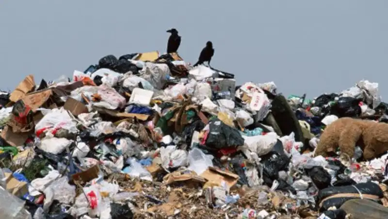 Как решают проблему стихийных свалок, рассказал глава Минэкологии