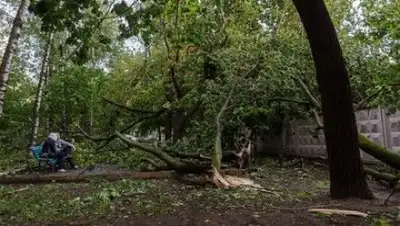 Zakon.kz, фото - Новости Zakon.kz от 30.05.2017 18:06