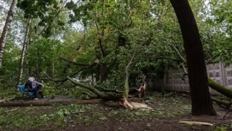 Ураган в Москве: количество пострадавших растет, в МЧС подсчитали ущерб