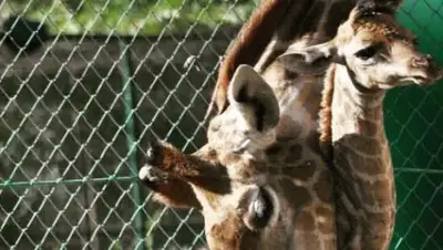 Zakon.kz, фото - Новости Zakon.kz от 02.09.2017 18:16