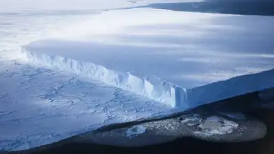 kurs.com, фото - Новости Zakon.kz от 25.01.2021 21:35