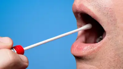 Гордон, фото - Новости Zakon.kz от 20.07.2020 16:39