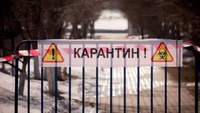 liter.kz, фото - Новости Zakon.kz от 16.11.2020 09:15