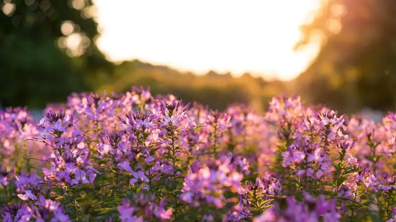 33-градусная жара и осадки ожидаются в Казахстане