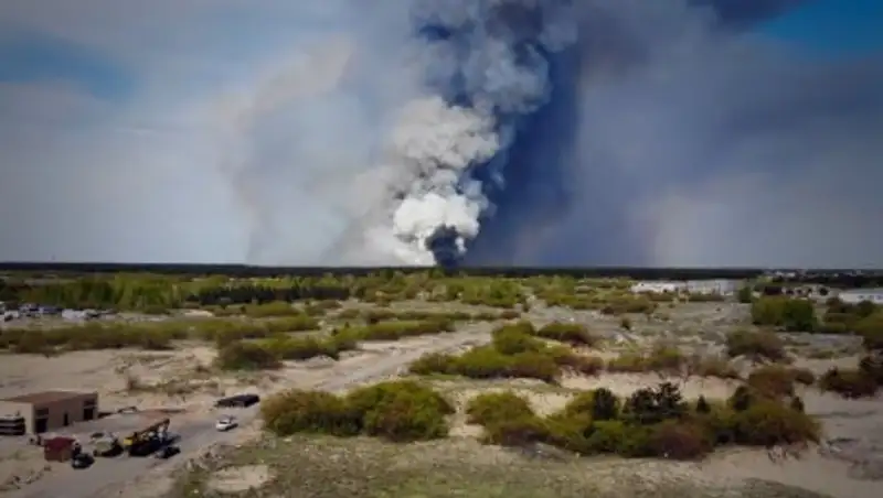 Сильный пожар близ Семея сняли на видео