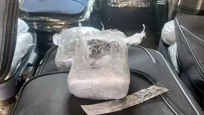 275 кг ювелирных украшений пытались ввезти в Казахстан, фото - Новости Zakon.kz от 21.01.2023 12:39