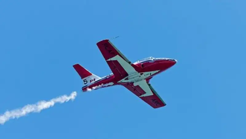Самолет пилотажной группы загорелся во время авиашоу в Канаде
