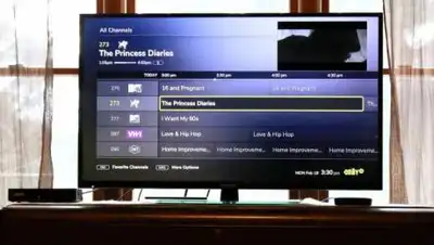 Everythin Pretty, фото - Новости Zakon.kz от 07.11.2020 16:26