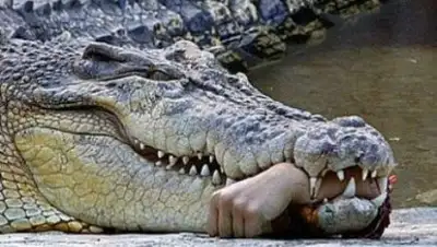 Zakon.kz, фото - Новости Zakon.kz от 20.04.2017 13:58