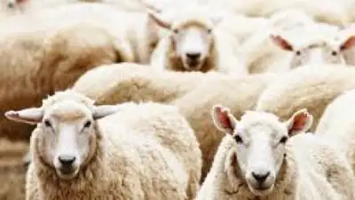 Zakon.kz, фото - Новости Zakon.kz от 09.06.2015 23:02