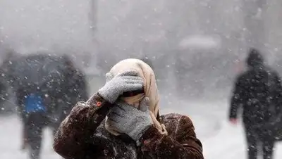 Zakon.kz, фото - Новости Zakon.kz от 10.02.2017 13:24