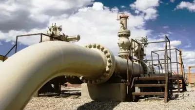 24.kz, фото - Новости Zakon.kz от 21.05.2018 11:11