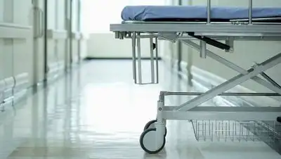 shabat.am, фото - Новости Zakon.kz от 05.02.2021 09:33