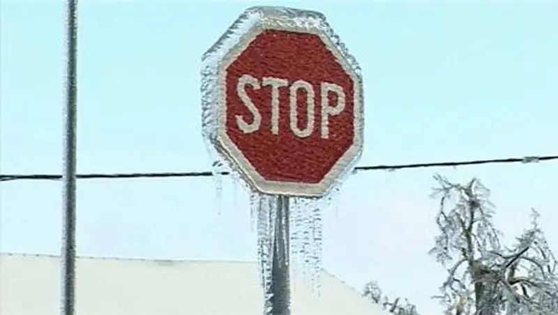 Ледяной дождь в Словении в прямом смысле заставил замереть все вокруг  