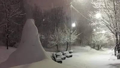 соцсети, фото - Новости Zakon.kz от 23.12.2019 16:05