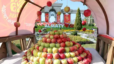 Куда сходить в Алматы на День города, фото - Новости Zakon.kz от 12.09.2023 11:28