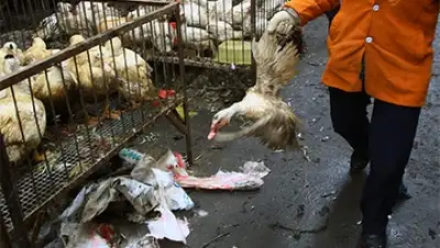 Zakon.kz, фото - Новости Zakon.kz от 04.07.2015 07:00