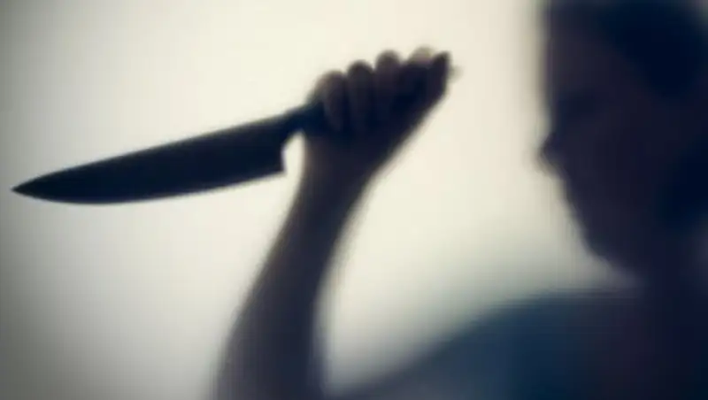 В Костанайской области на 5 лет осуждена женщина, ранившая дочь ножом