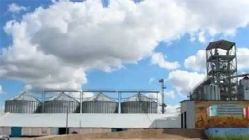 В Кызылорде с начала года создано более трех тысяч рабочих мест