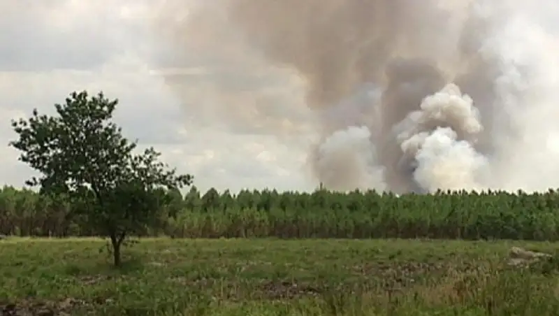 На юге Франции на фоне аномально теплой зимы начались лесные пожары