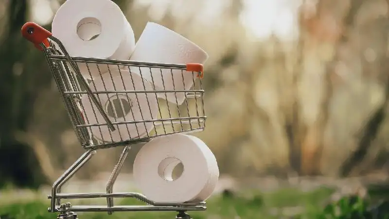 Финляндия на грани дефицита туалетной бумаги