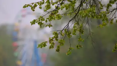 Известия, фото - Новости Zakon.kz от 12.05.2020 06:02