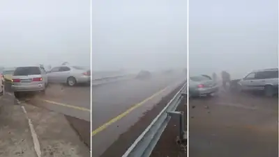 алматы, хоргос, трасса, уголовное дело, фото - Новости Zakon.kz от 27.12.2021 17:41