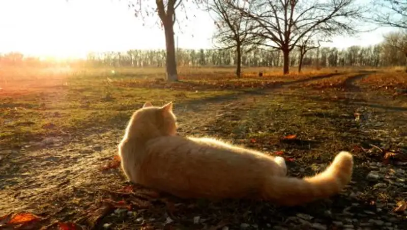 Осадки в Казахстане меняются на ясную погоду