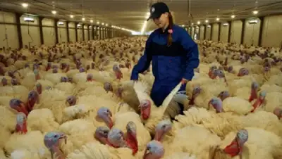 Zakon.kz, фото - Новости Zakon.kz от 14.01.2015 02:40