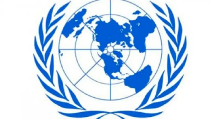 Казахстан с официальным визитом посетит эксперт ООН по правам на свободу мирных собраний