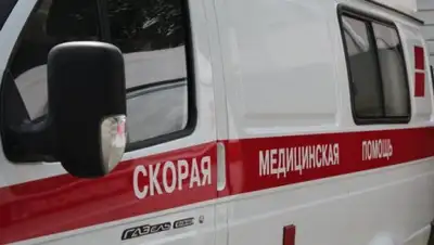 Zakon.kz, фото - Новости Zakon.kz от 08.09.2017 08:46