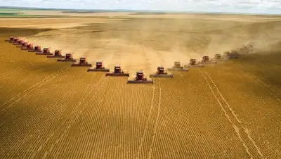 Zakon.kz, фото - Новости Zakon.kz от 25.06.2015 23:49