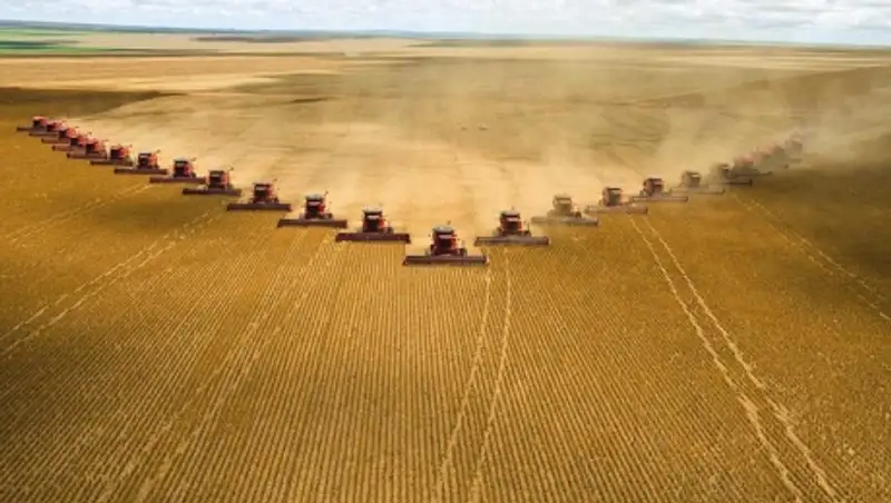 Сельское хозяйство показывает лучшие результаты развития в программе индустриализации