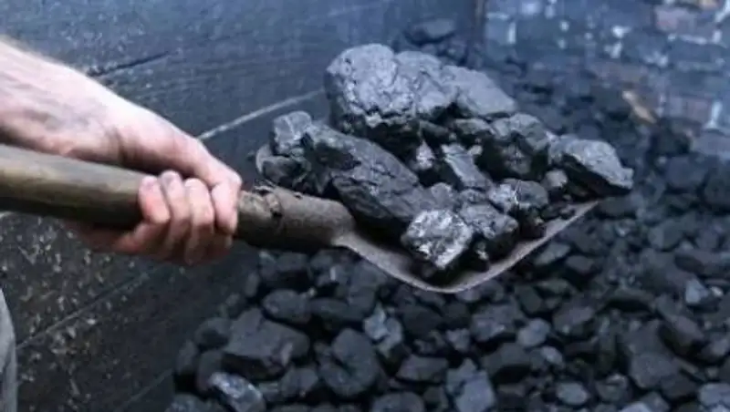 Ученые нашли экологически чистую замену углю