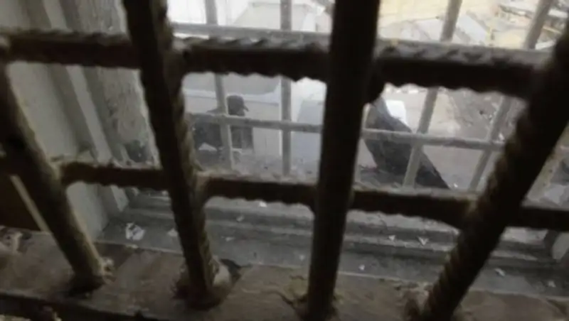 Общественники требуют ужесточить уголовное наказание за преступления сексуального характера