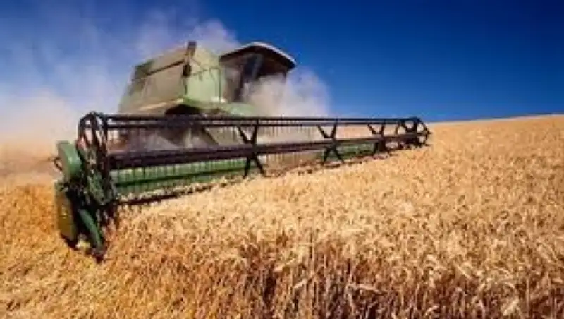 С 1 февраля Россия ограничит объем поставок зерна в Казахстан