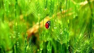 Zakon.kz, фото - Новости Zakon.kz от 25.05.2016 21:34