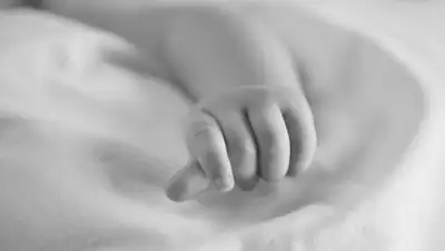 versiya.info, фото - Новости Zakon.kz от 20.12.2019 07:56