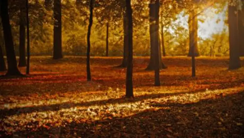 Прогноз погоды по территории Казахстана на 19 октября