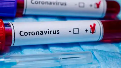 zakon.kz., фото - Новости Zakon.kz от 27.05.2020 09:00