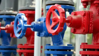 Еврохолод, фото - Новости Zakon.kz от 22.03.2020 12:40