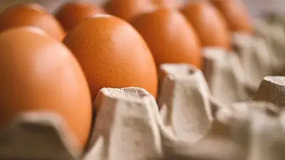 АЗРК и правительство выявили нарушения при формировании цен на яйца