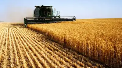 из открытых источников, фото - Новости Zakon.kz от 09.07.2018 19:06