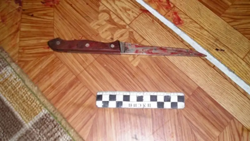 В Акмолинской области пьяный мужчина убил собутыльника из-за ревности к сожительнице 